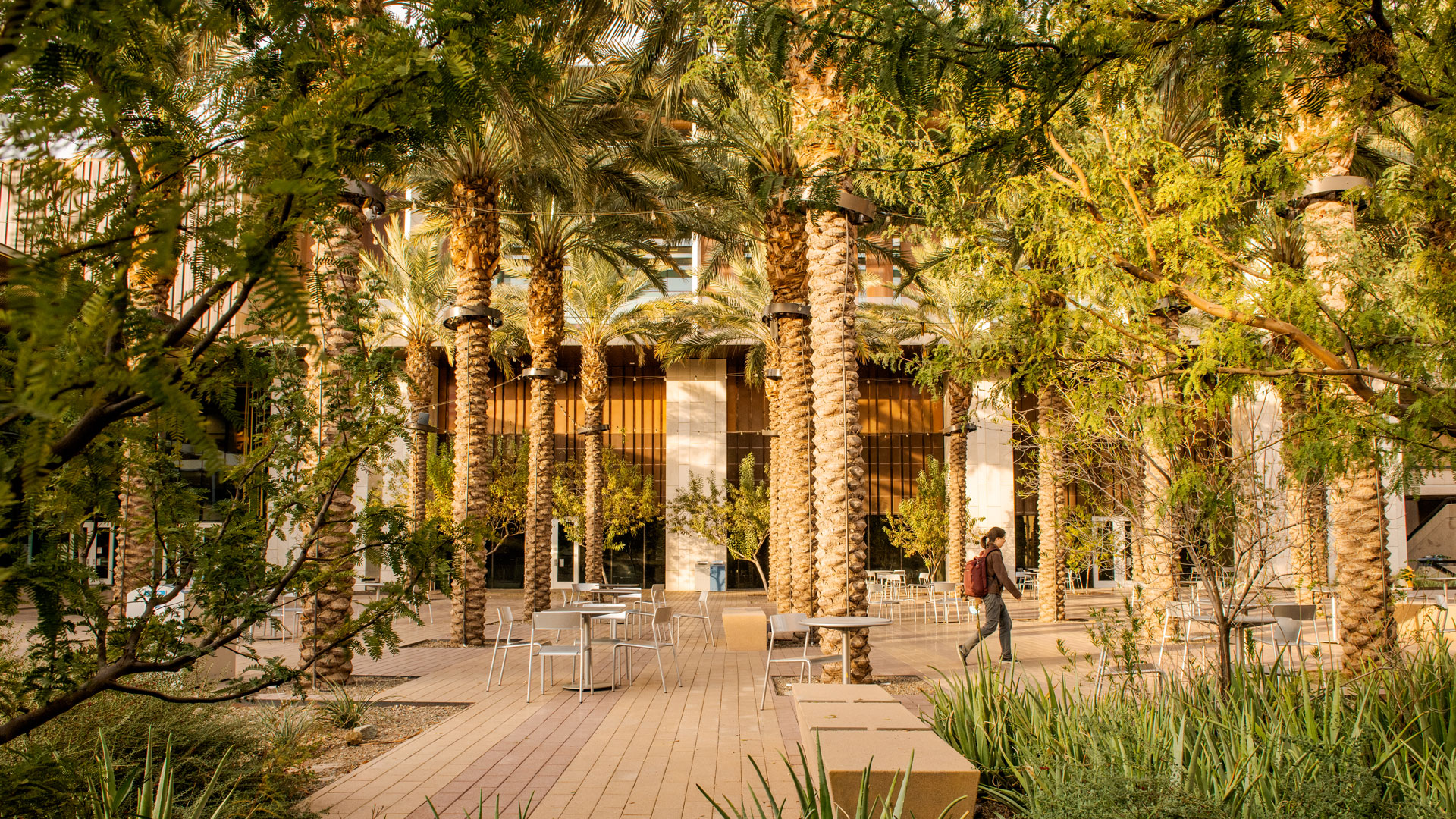 Palm tree landscaping in front of a large multi-story building with a person walking in the foreground.